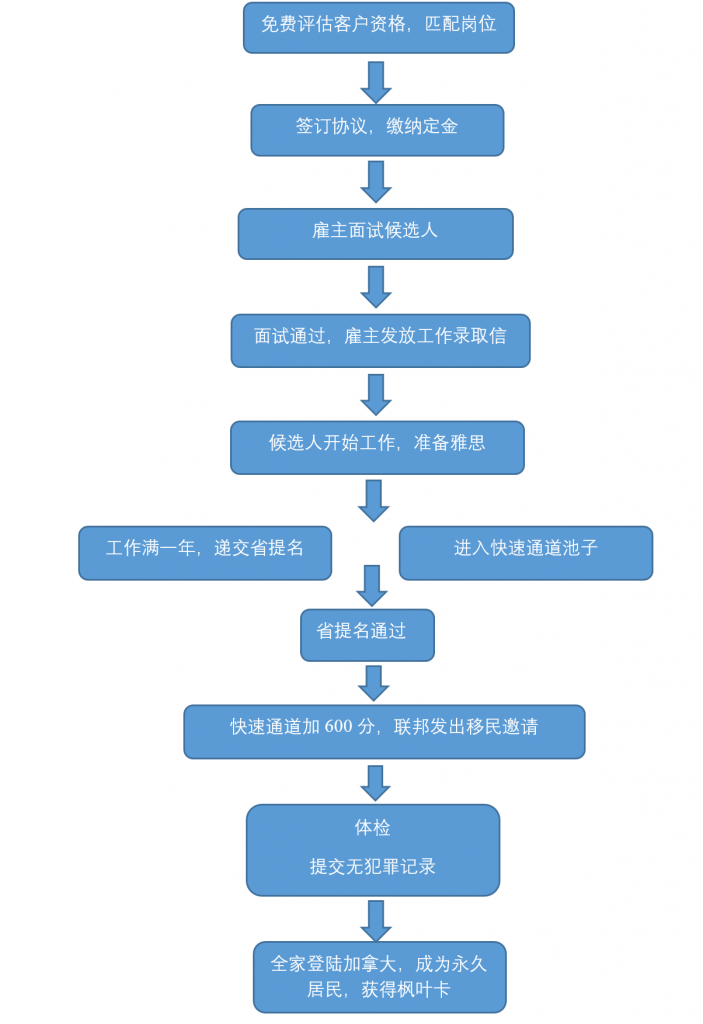 nsee_process